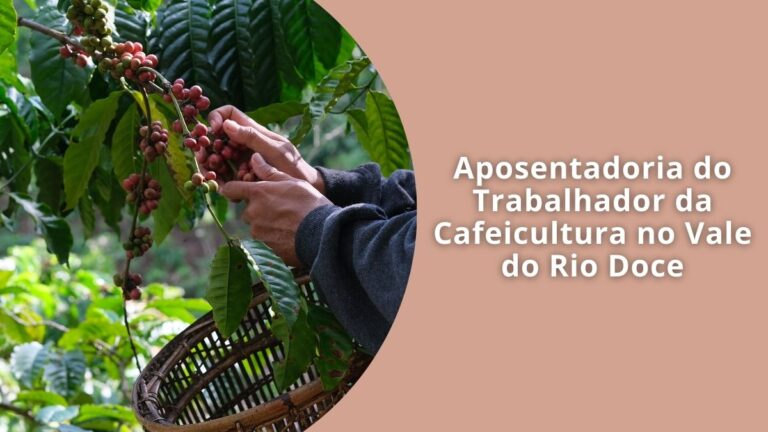 Aposentadoria do Trabalhador da Cafeicultura no Vale do Rio Doce