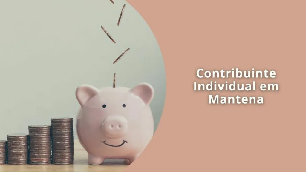 Contribuinte Individual em Mantena